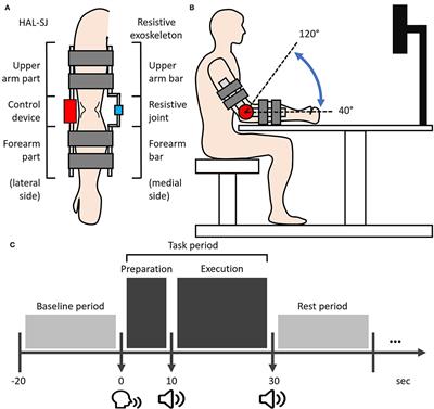 Involvement of the Rostromedial Prefrontal Cortex in Human-Robot Interaction: fNIRS Evidence From a Robot-Assisted Motor Task